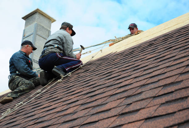 Roof Installation Near Me in Lone Tree, CO